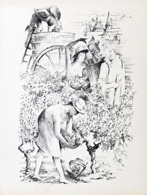 Les vendanges