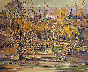 Vignobles en automne